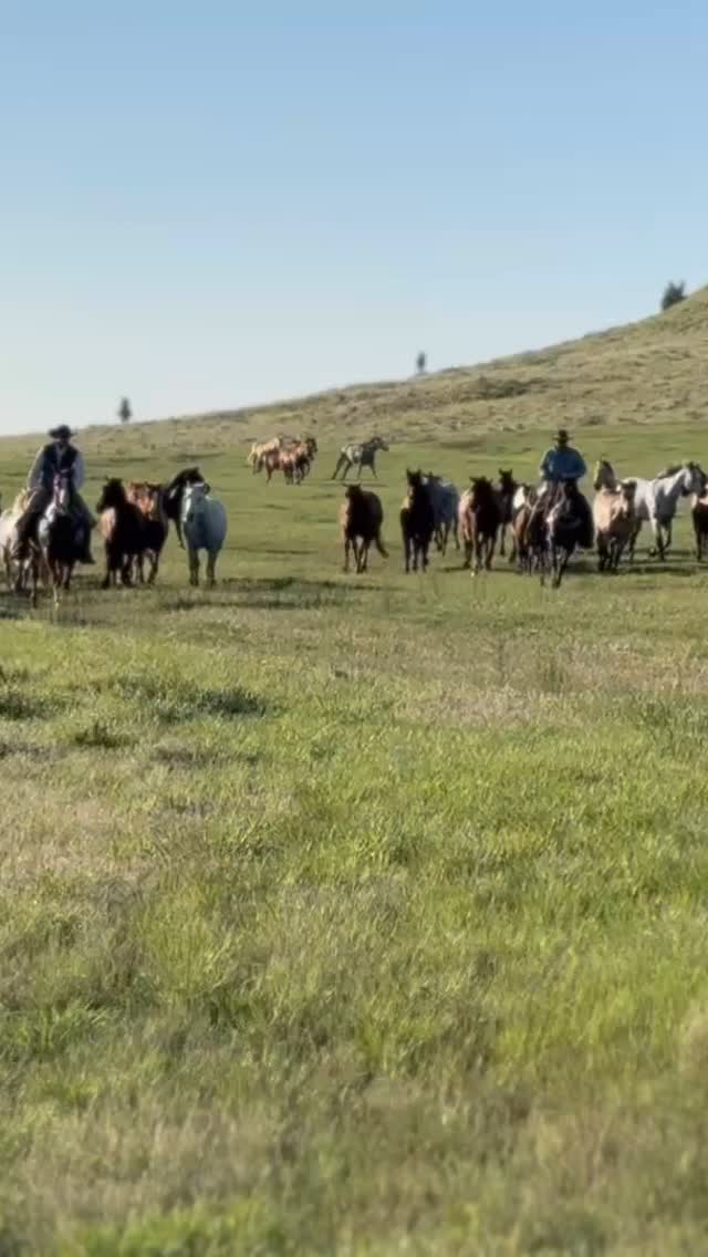 Eatons' Ranch | Wolf WY