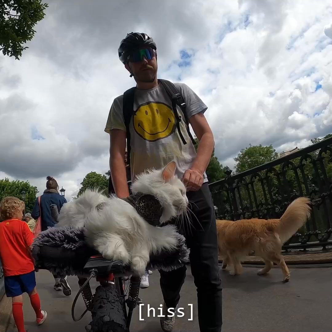The definition of 'no fear'. 😼 And no I don't think that's Cilian ...