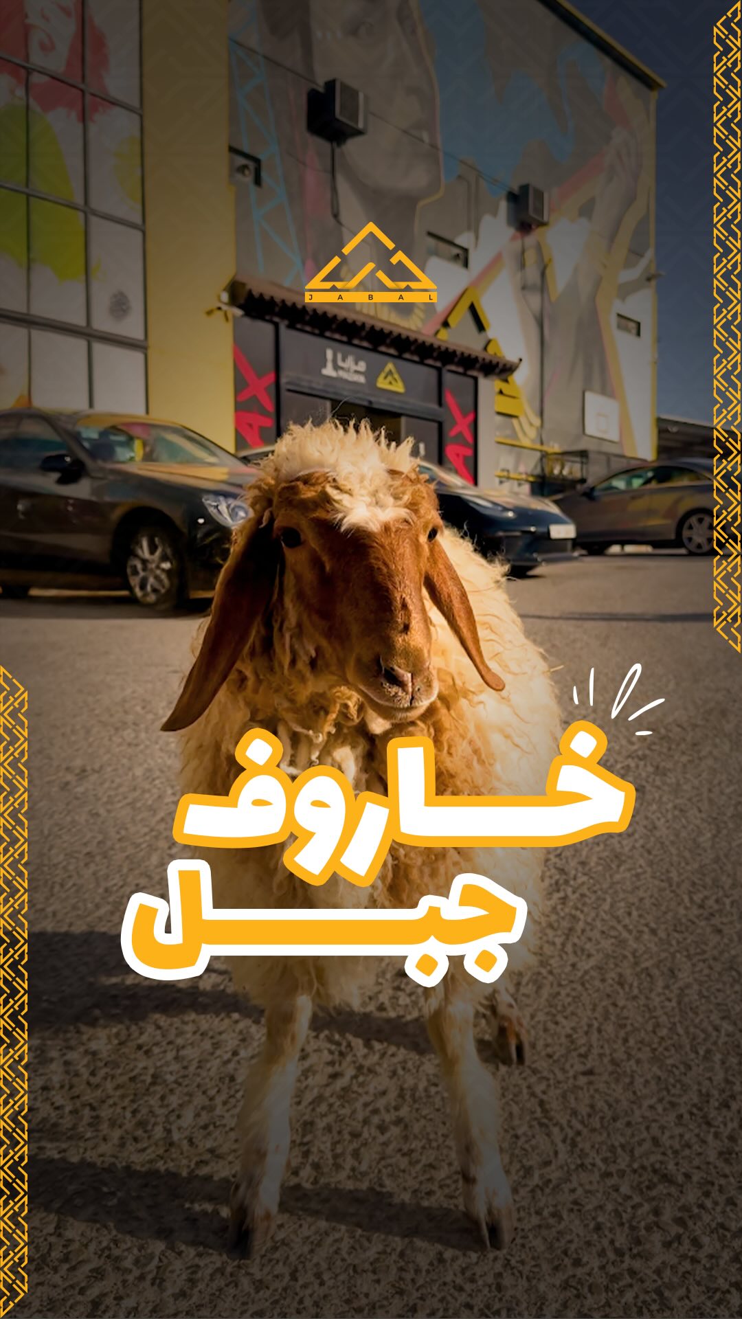 خاروف جبل 🐐 اضحى مبارك 🙏 بننتظركم بجبل لنقضي العيد مع بعض ️ كل عام ...