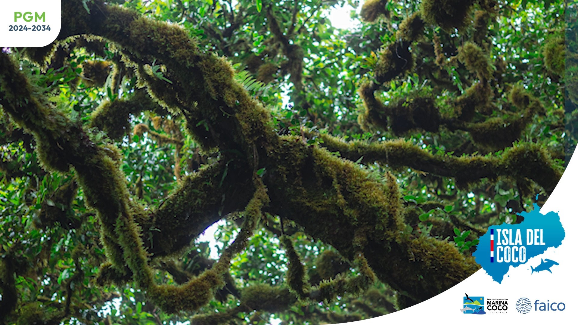 Parque Nacional Isla del Coco