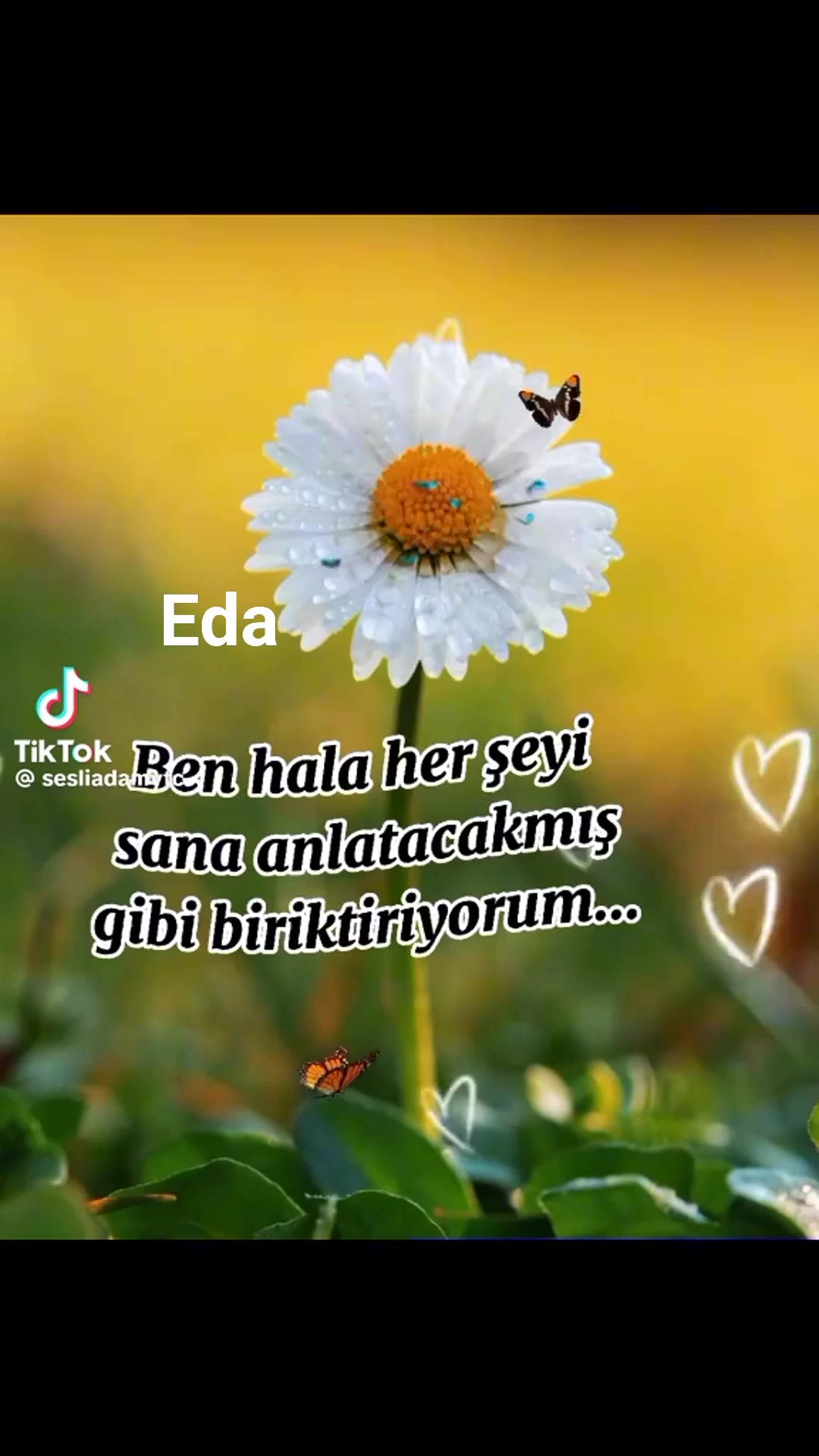 EDALI sözler | Sebebsiz yaşam | Facebook