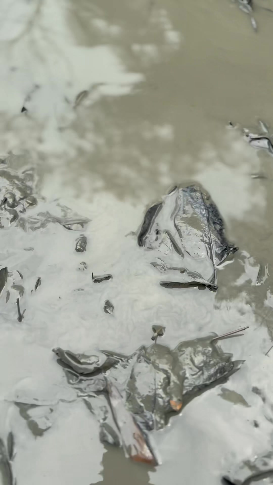 Mir Fish Farm