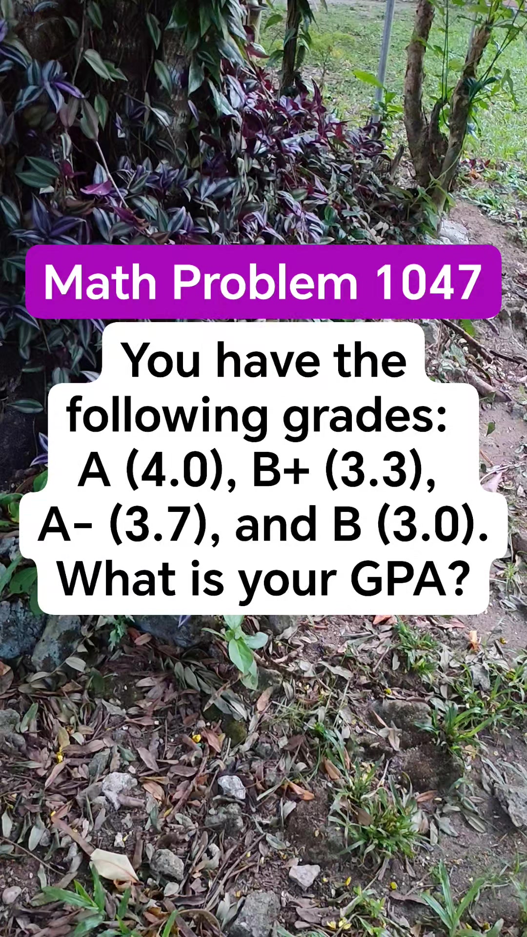 Math Problem 1047 You have the following grades: A (4.0), B+ (3.3), A ...