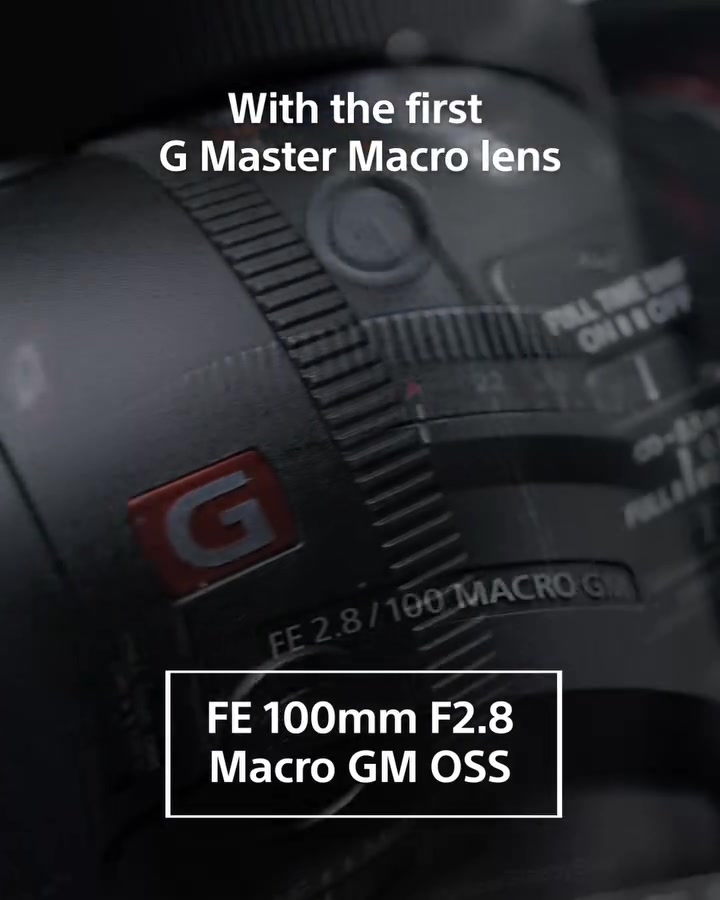 Meet Sony’s first-ever G Master Macro lens – FE 100mm F2.8 Macro GM OSS ...