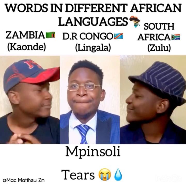 WORDS IN DIFFERENT AFRICAN LANGUAGES New Episode 😁 🇲🇼 🇰🇪 🇿🇲 Enjoy ...