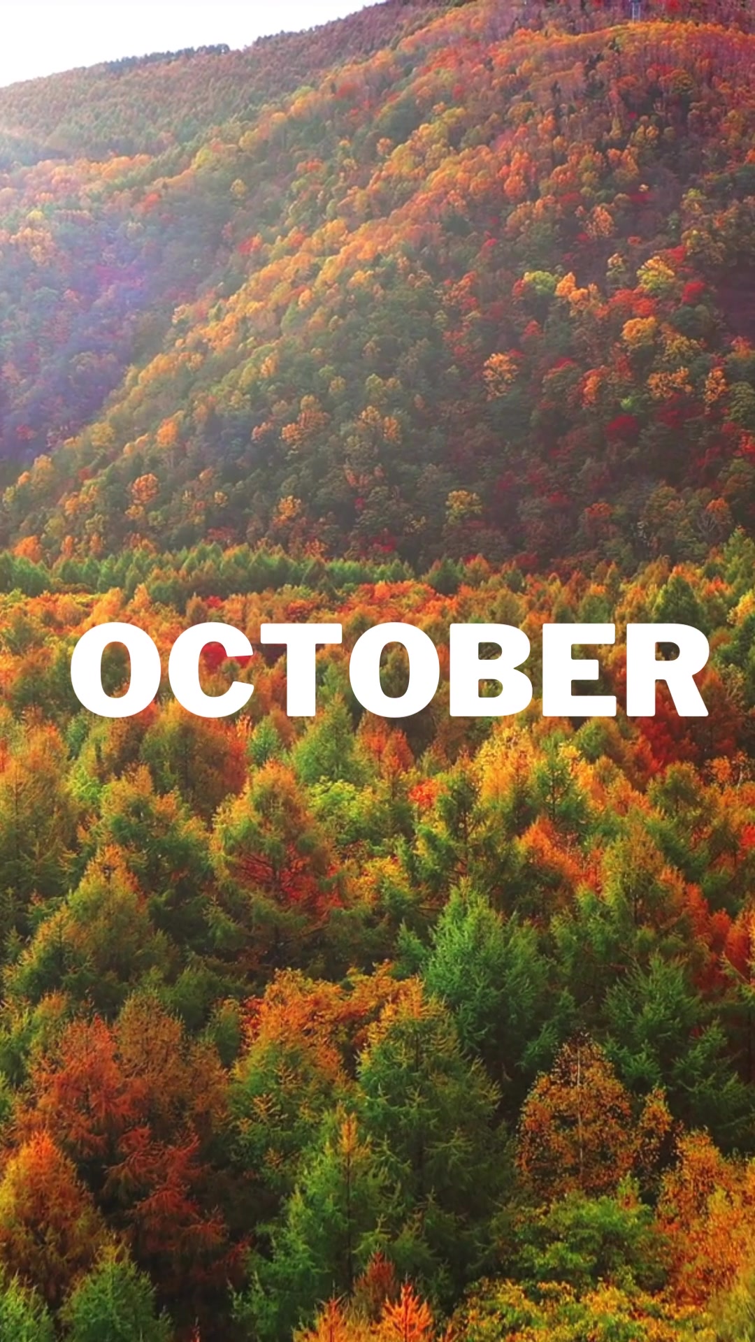 Where did October go? With only 10 days left in the month, what's on ...
