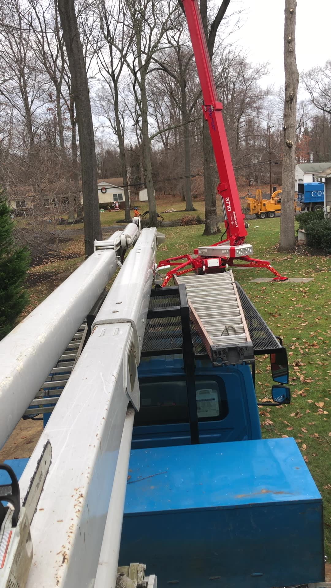 Cooks Tree Service inc. | Lincroft NJ