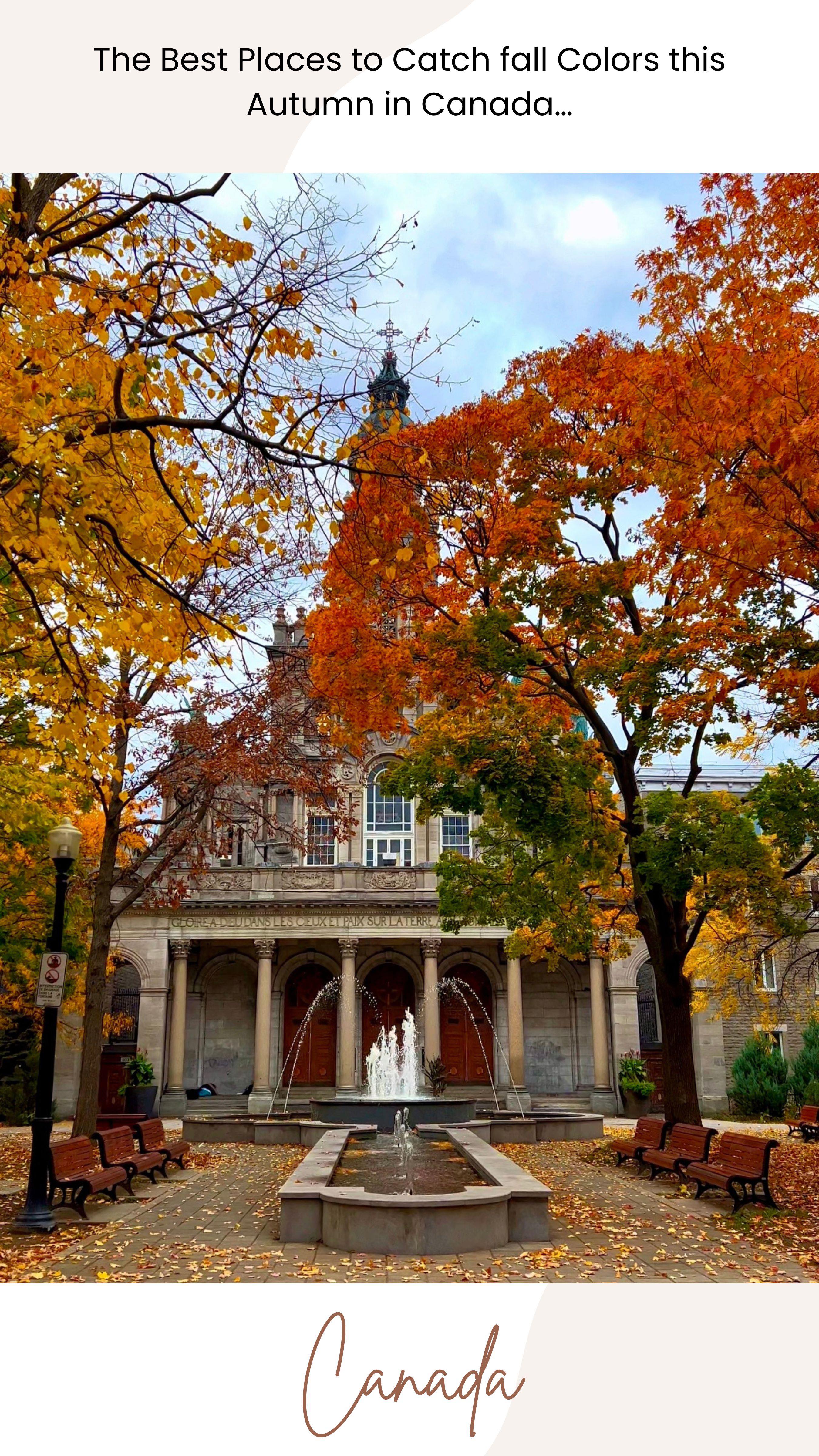 ⬇️🍁 The best places for fall colors across Canada! 🇨🇦🍂 Alberta: 🏔️The ...