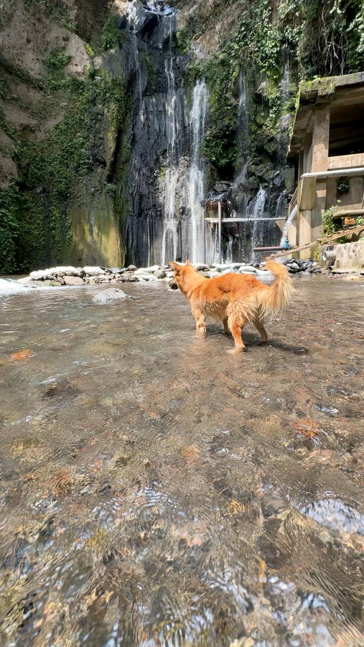 Las aguas más cristalinas de El Salvador 🇸🇻 Las Cataratas de Talcomunca ...