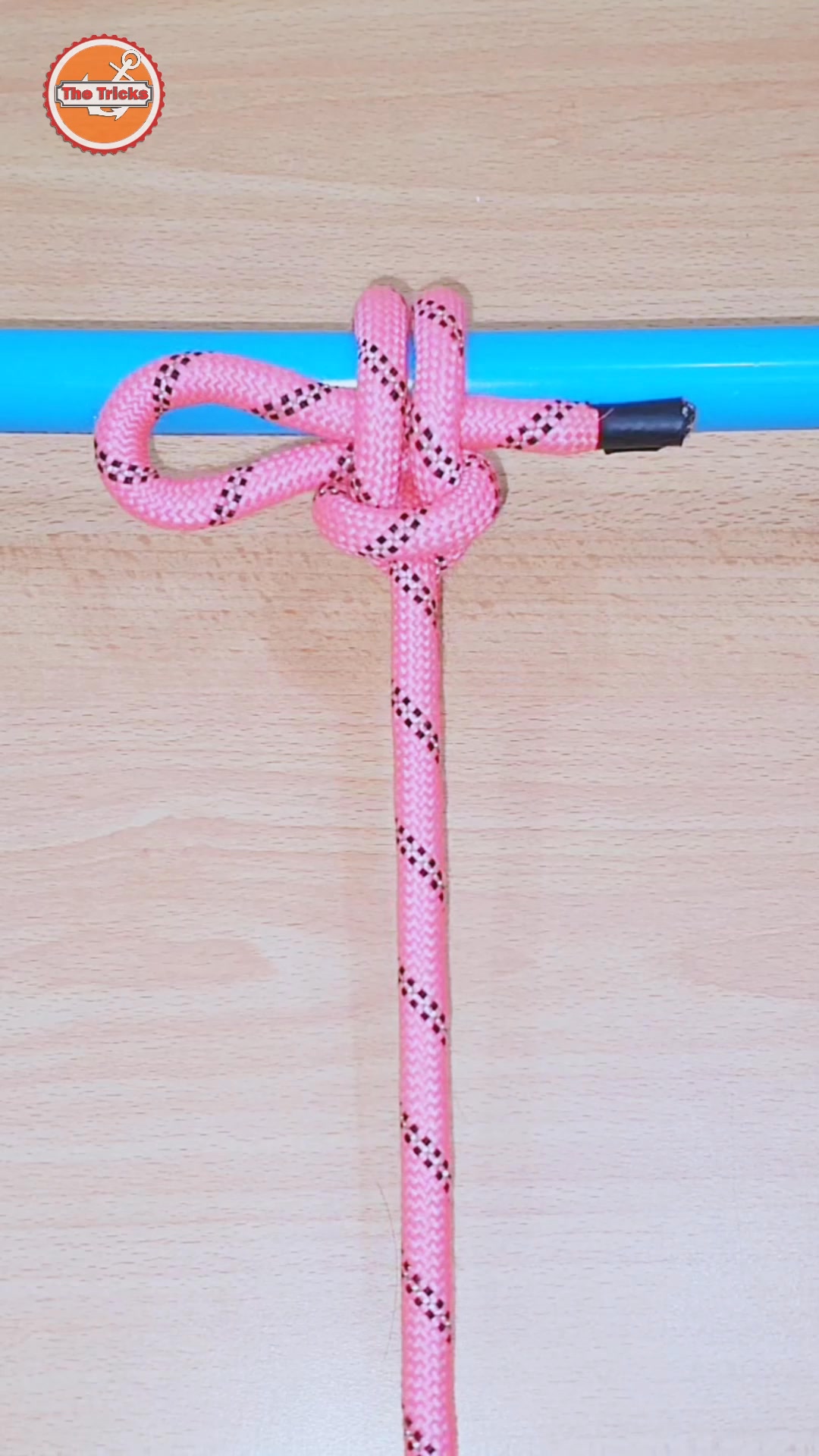 Knots rope tip diy at home ep2497 🇺🇸🪢 #knots #reels #trending #trend # ...
