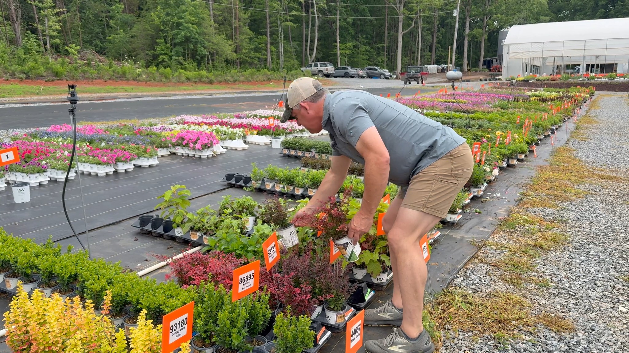 Join Jerry on a quick garden tour of different areas, showcasing ...