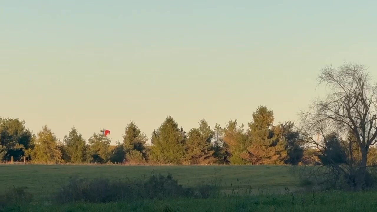 A local hunter in the Petoskey area is looking for any information ...