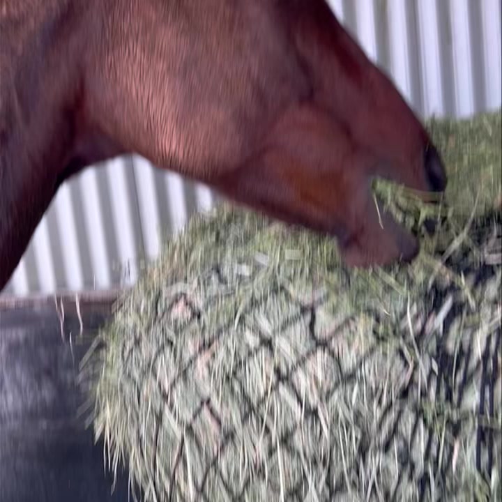 Canberra Stockfeeds - Powered by Neigh Hay