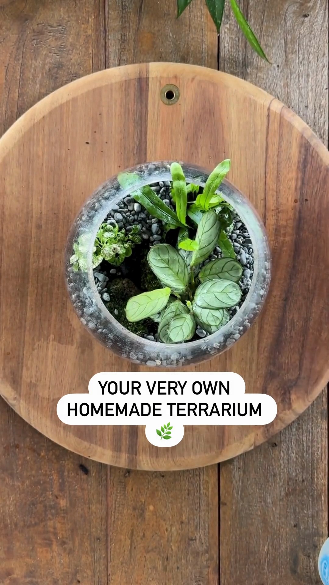The revolutionary Click & Grow® Garden Care System makes weeding and ...