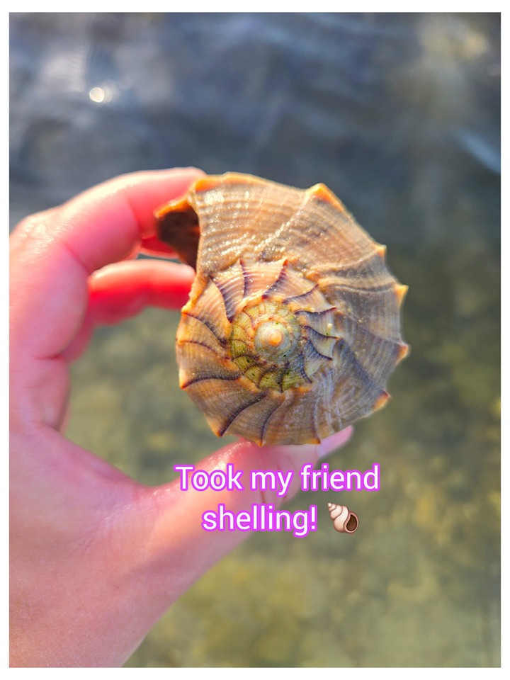 Shelling with friends is the best 🐚 ️ #shelling #shells #floridabeaches ...