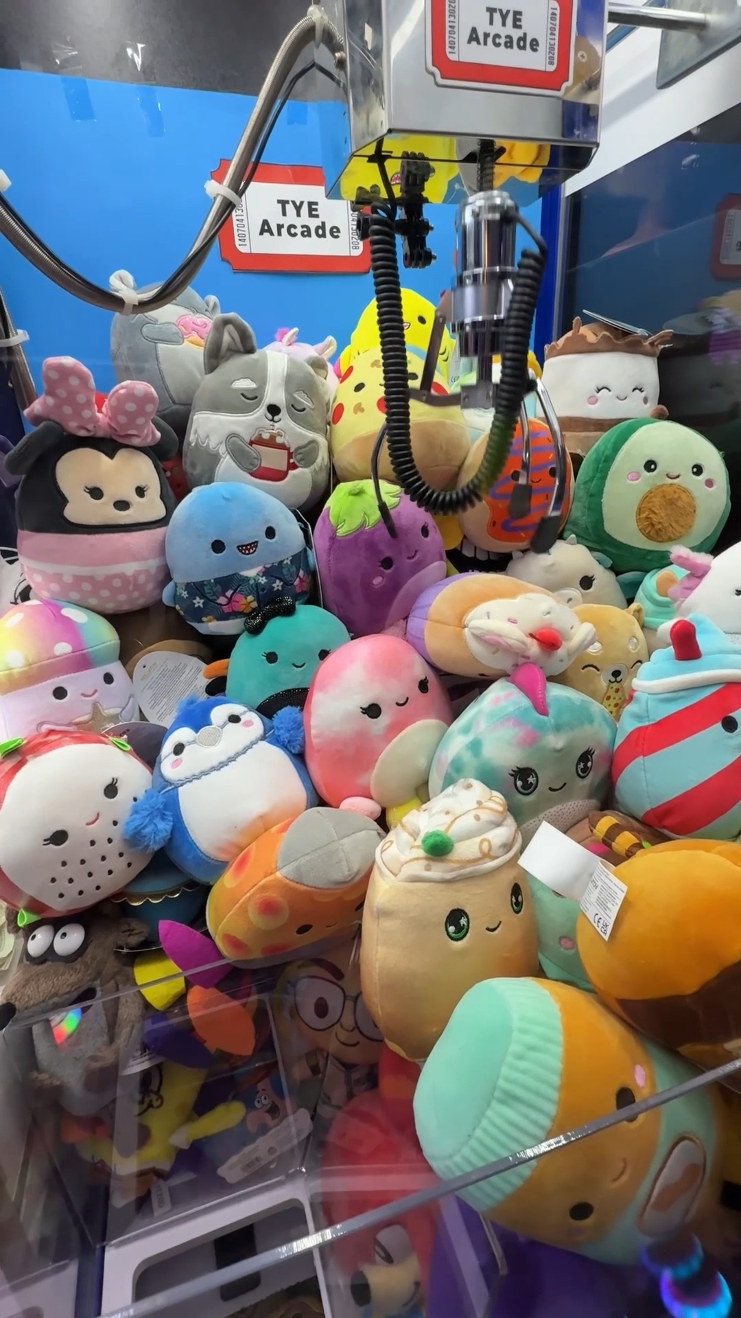 I WON The Keys Locked Inside The Claw Machine | In Todays Video I WON ...