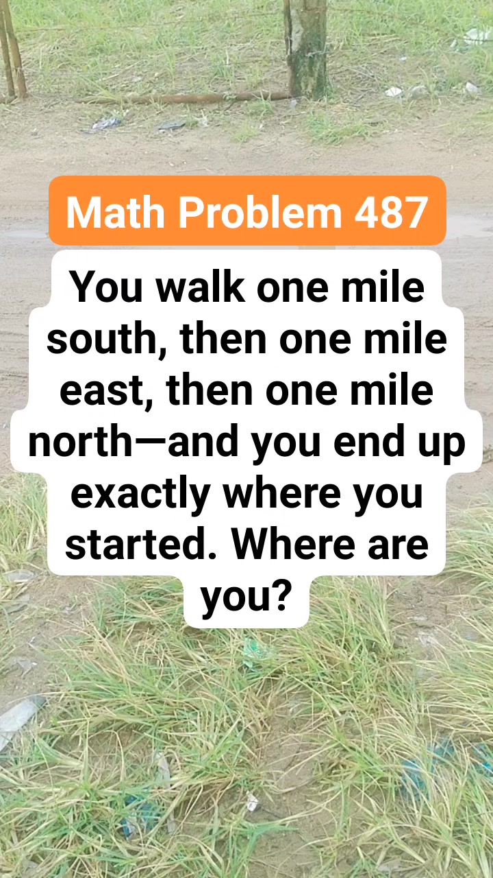 Math Problem 487 You walk one mile south, then one mile east, then one ...