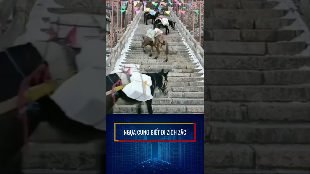 Ngựa đi rích rắc #Shorts #Reels #Trending | Nhi Nói Xàm | Facebook