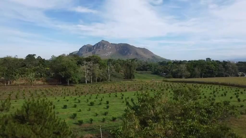 Ilaya Farms | Sumilao