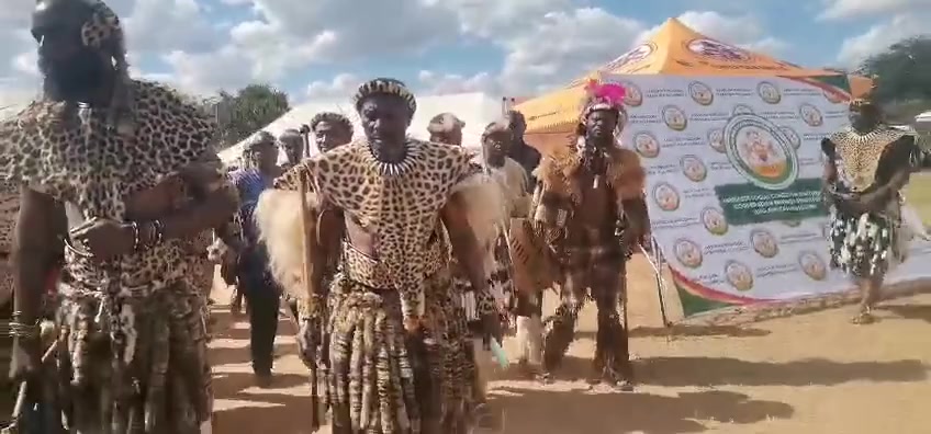 1.Induna uDakamela 2. Umntwana uVanana Zulu 3.Induna uJubane 5 ...