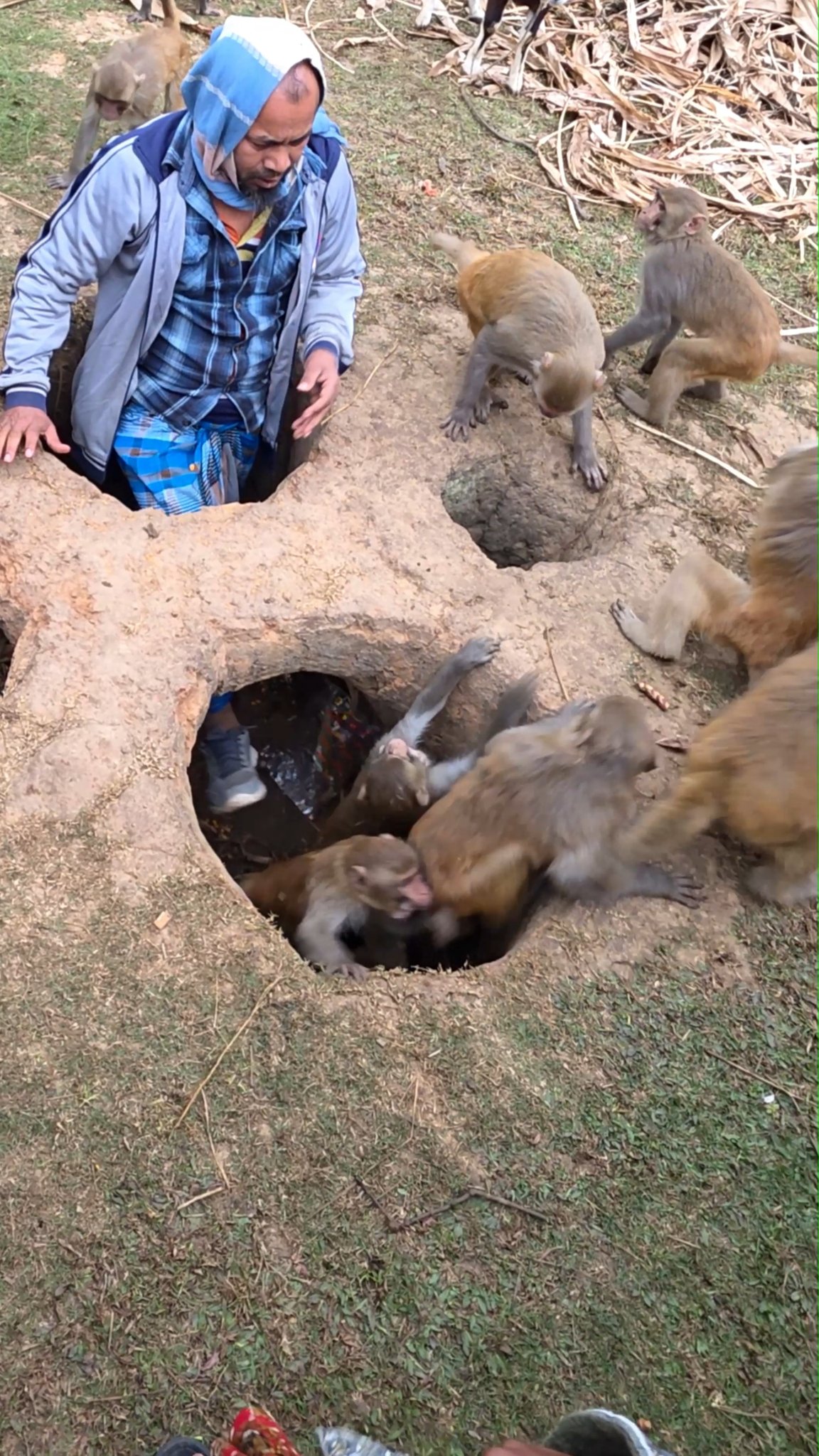 How the monkeys are coming out of the hole. . . . . . . . #rubelmea# ...