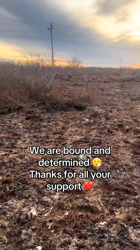 We are a dawn till dusk operation these days, one day soon these fields ...