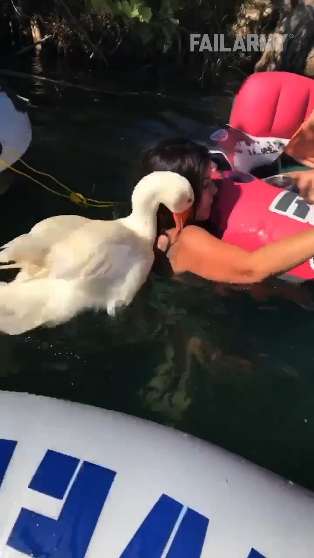 I am, in fact, a silly goose 🪿 😩 🤣 #tubing #lazyriver #rivertubing # ...