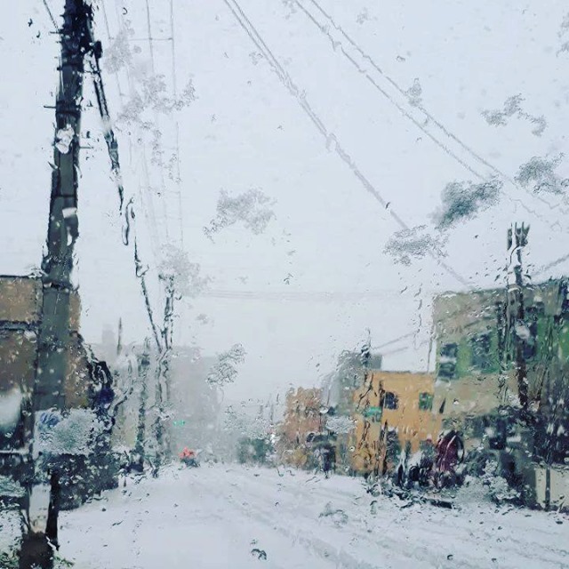 弘前に冬将軍が攻めてきた☃️ 安全運転で！！ . . . . . . #弘前 #雪 #雪の華 #ぼた雪 #デカイ #冬将軍 #日常 #安全運転 ...