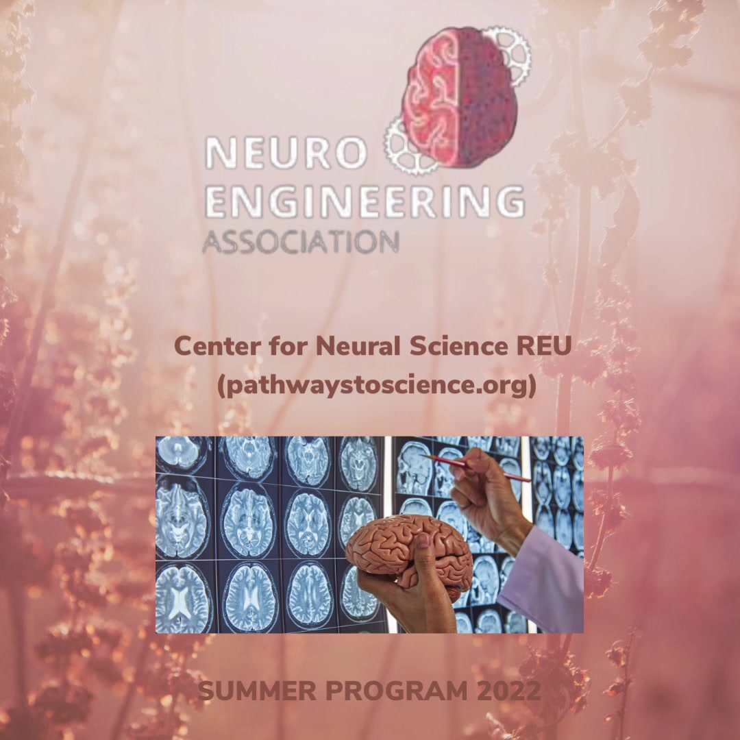 Neuroengineering Association PUPR