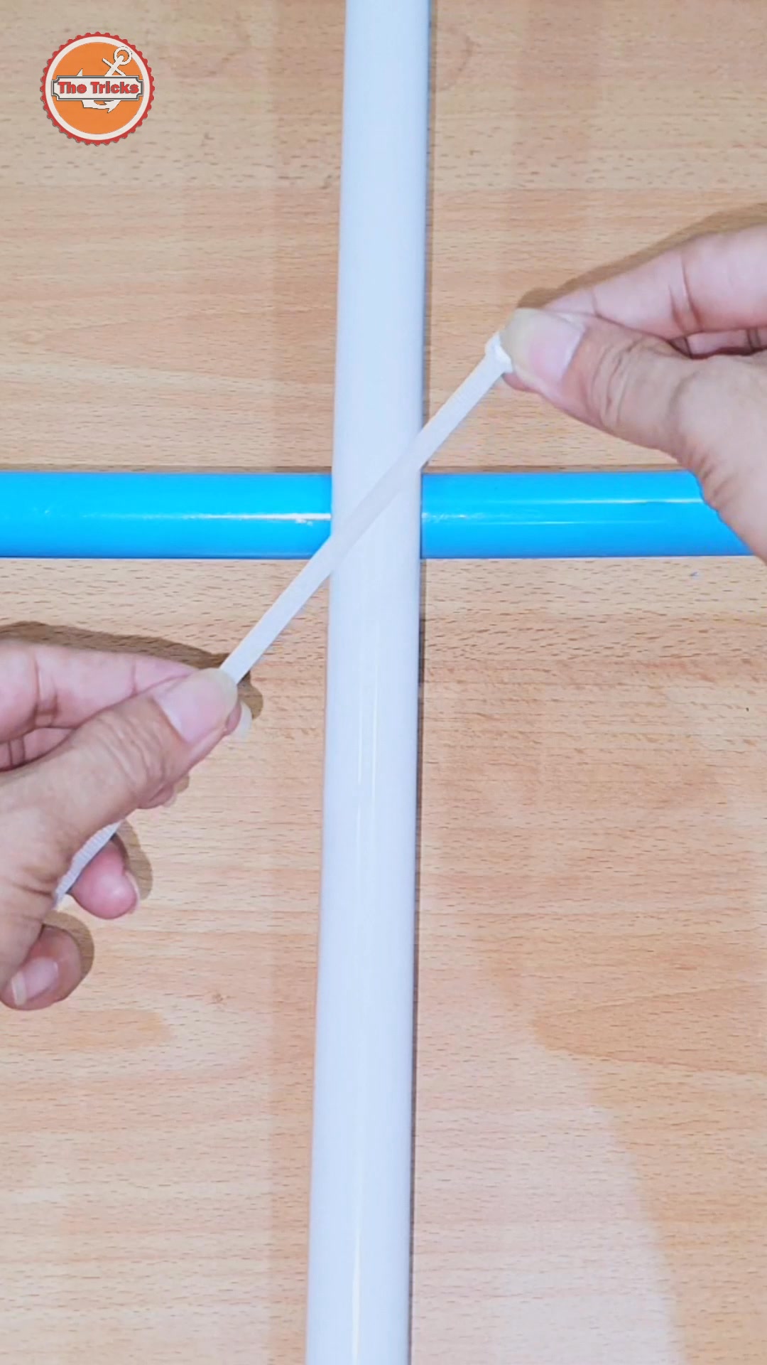 Knots rope tip diy at home ep3014 🇺🇸🪢 #knots #reels #trending #trend # ...