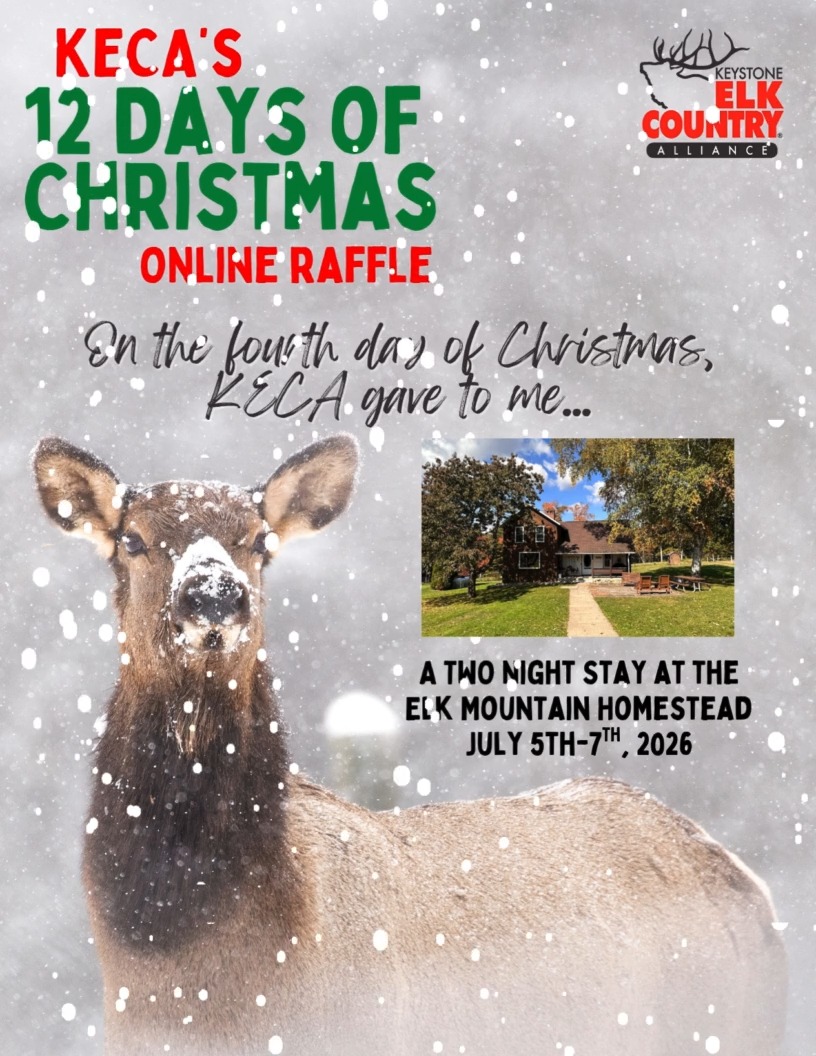 On the 4th day of Christmas, KECA gave to me... A TWO NIGHT STAY AT THE ...