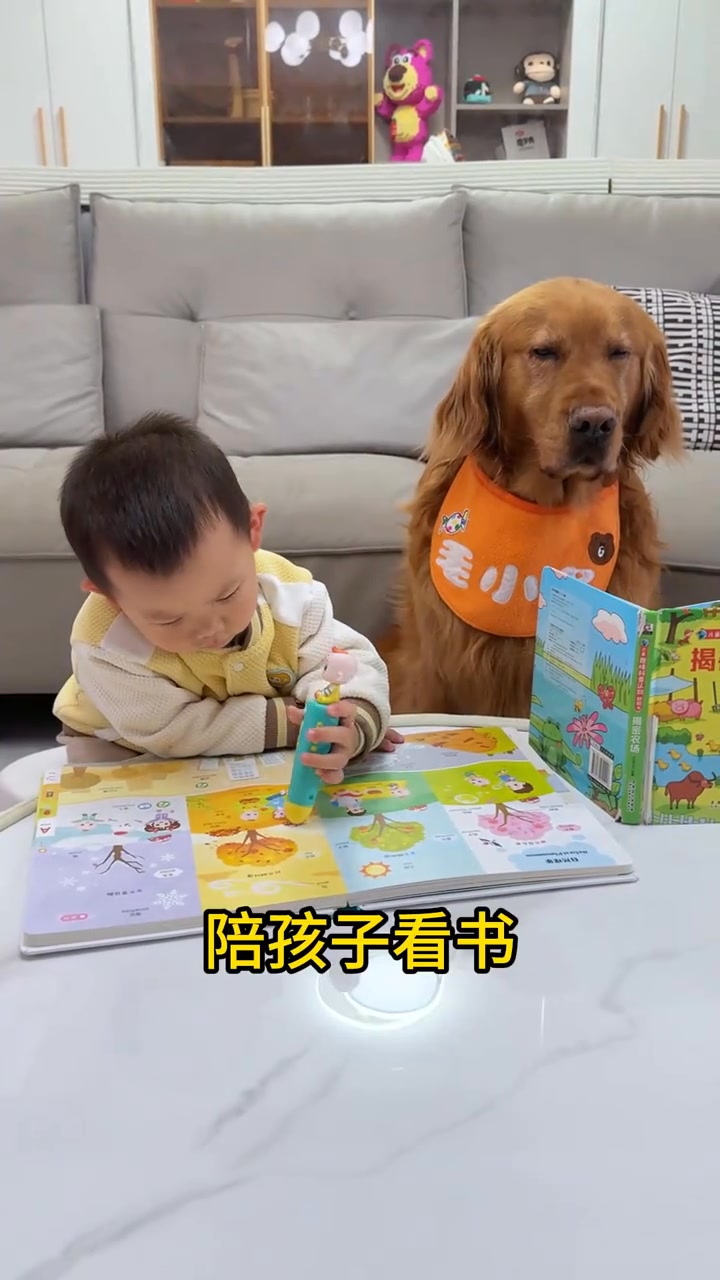 不知不觉多多已经7岁了～ #飞鹤星飞帆卓睿 #聪明宝宝喝飞鹤 #聪明小脑袋国宝也可AI | 神犬路虎 | Facebook
