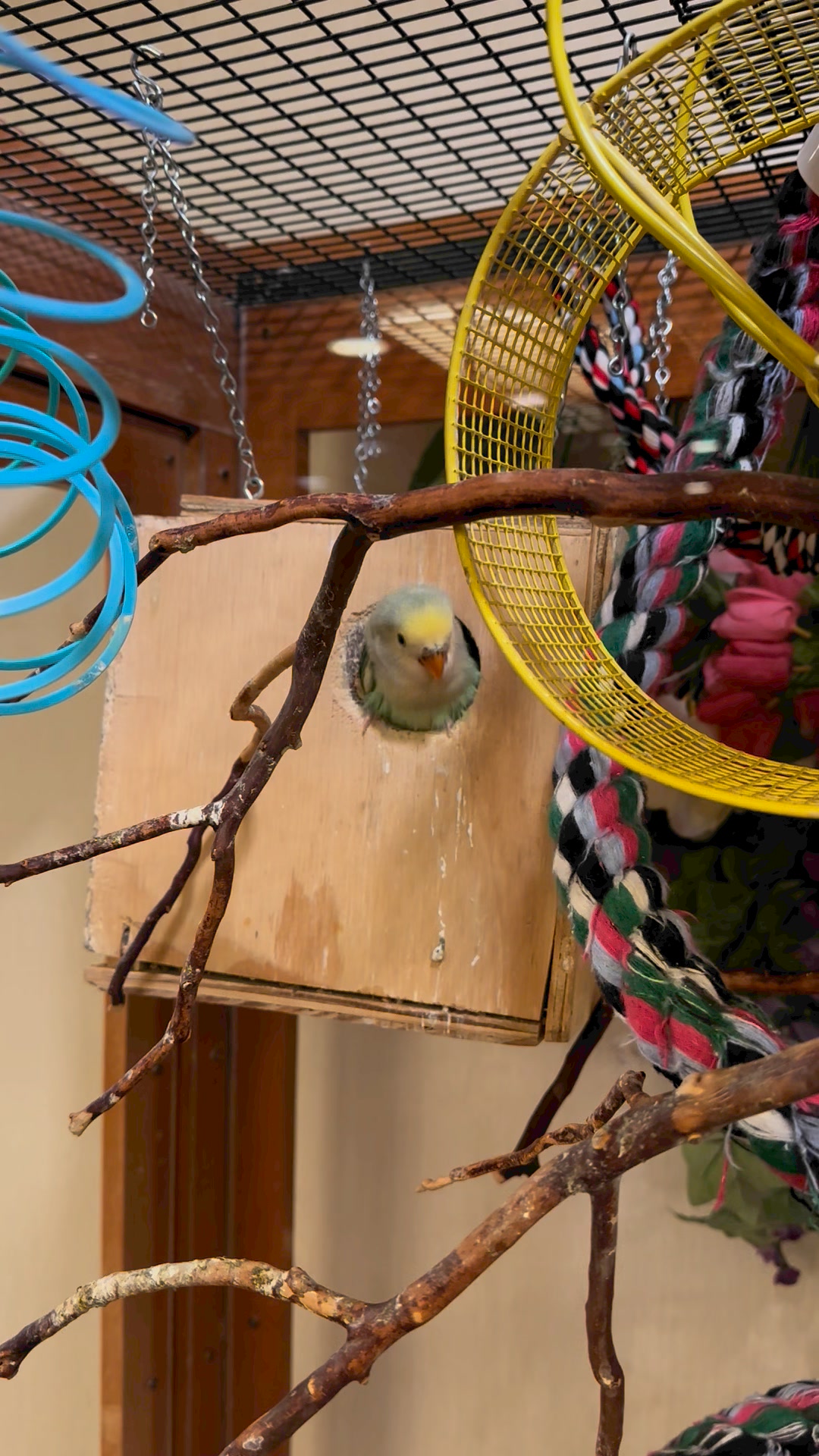Robin's Nest Aviaries and Aquariums Corp