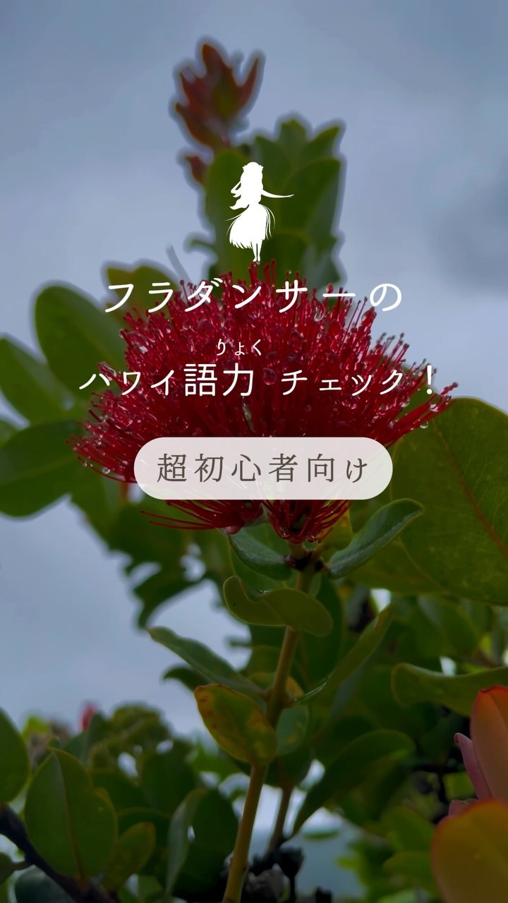 よしみだいすけ (@NuiDaisuke) • Facebook