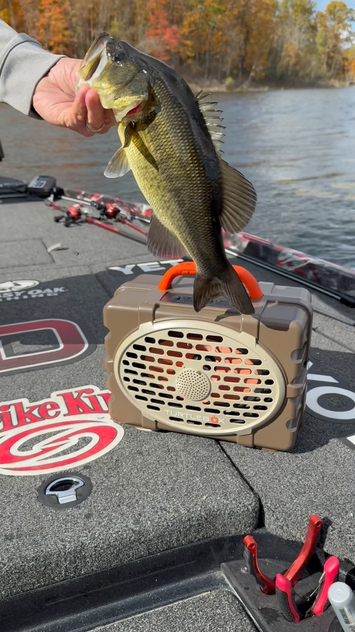 A wacky rig is one of the most deadly rigs that there is around shallow ...