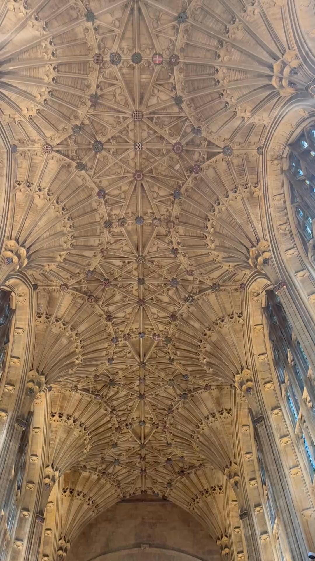 I am not in any shape or form religious but organ recitals I find ...