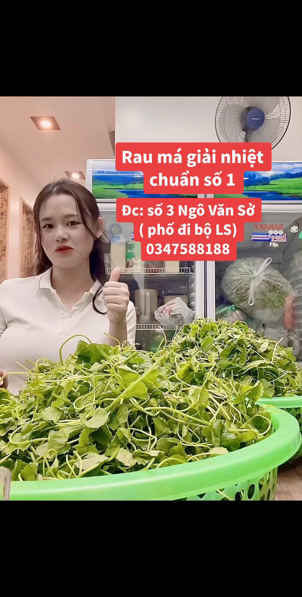 Trà Chanh, Rau Má CPLUS Lạng Sơn | Lang Son