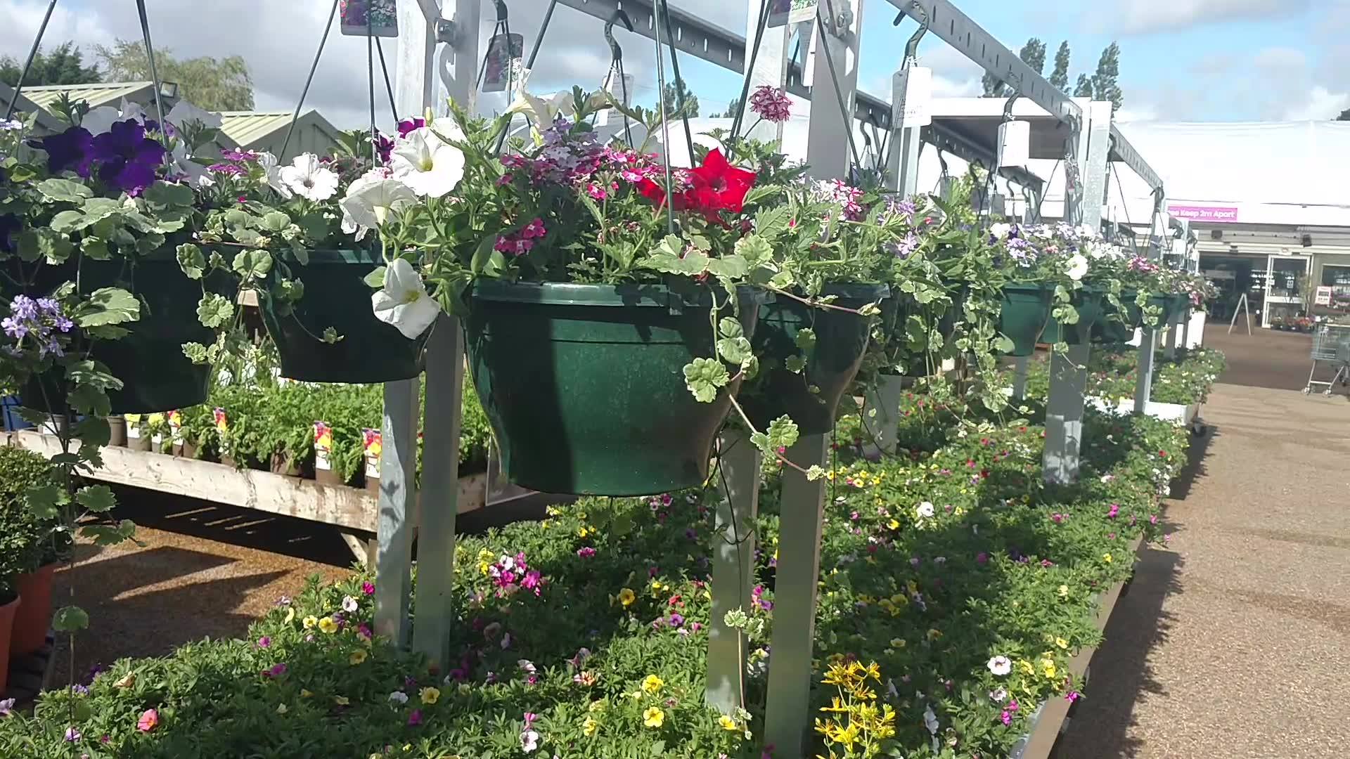 A hanging basket makes for the perfect decorative addition to your ...
