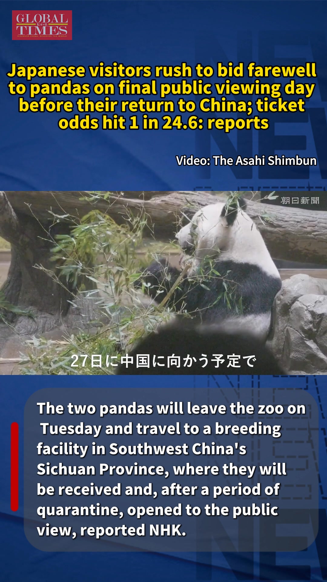 The twin giant pandas currently at Tokyo’s Ueno Zoo that are set to be ...