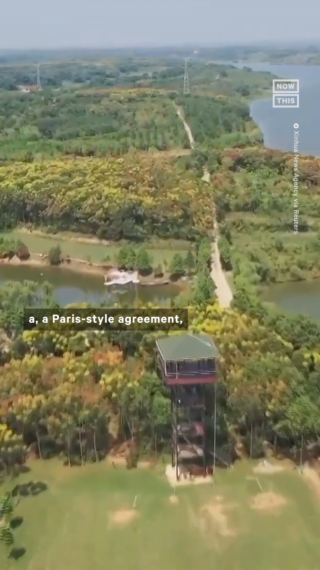WWF Chief Calls For a ‘Paris-Style’ Agreement to Protect Nature | Marco ...