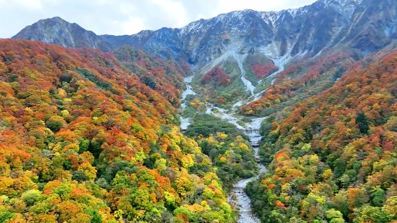 4K絶景！美しすぎる秋の大山へ】 紅葉に染まる大山（鳥取県）。超高