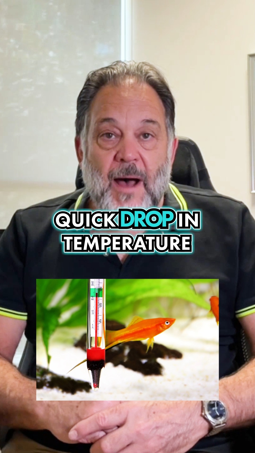 The Breeding Hack Every Fish Owner Needs After decades in the aquarium ...