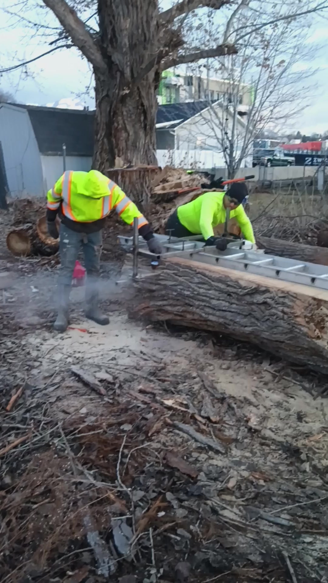 Divine Landscaping & Tree Service | Salt Lake City UT