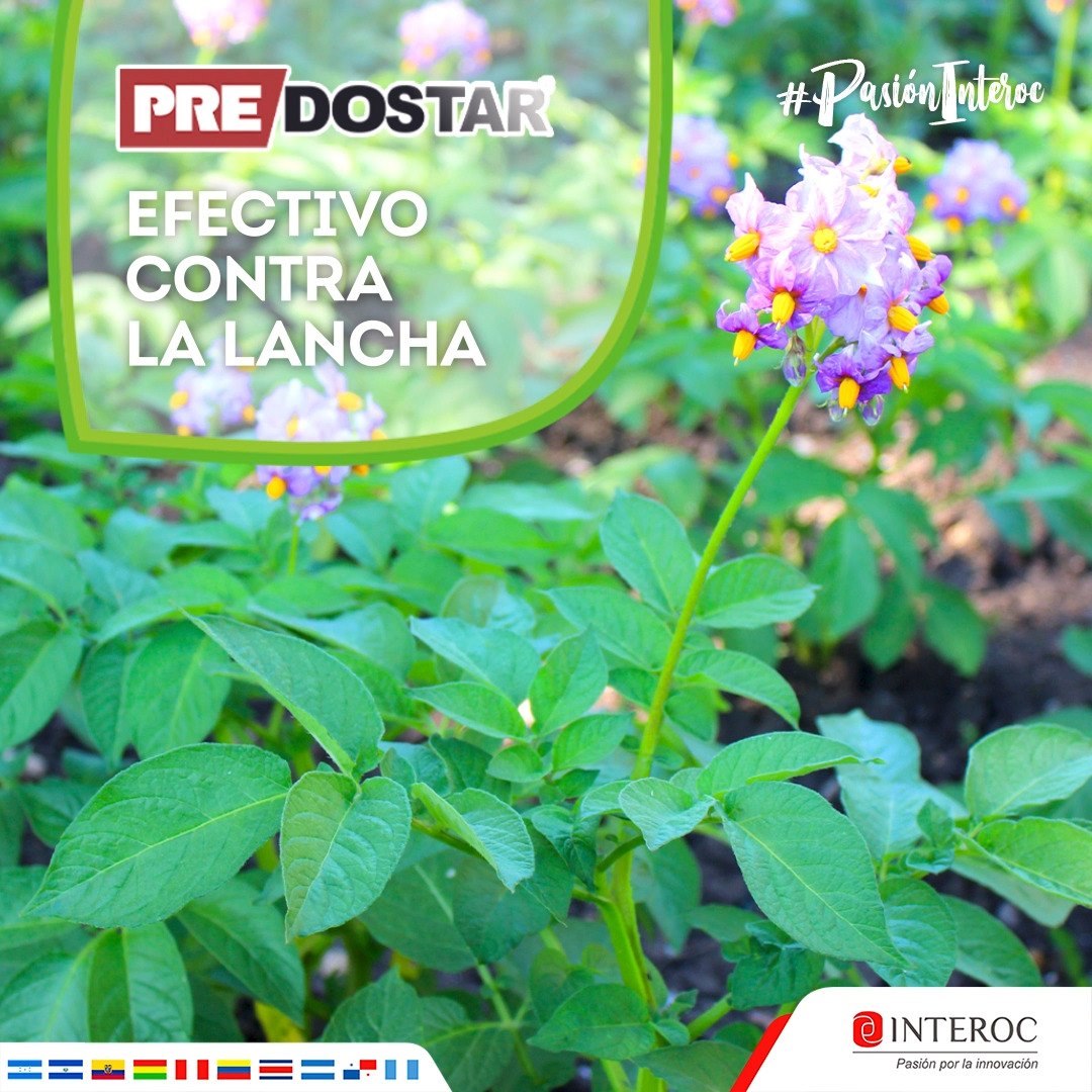 Con PREDOSTAR, la herramienta más segura y confiable, evitaras la ...