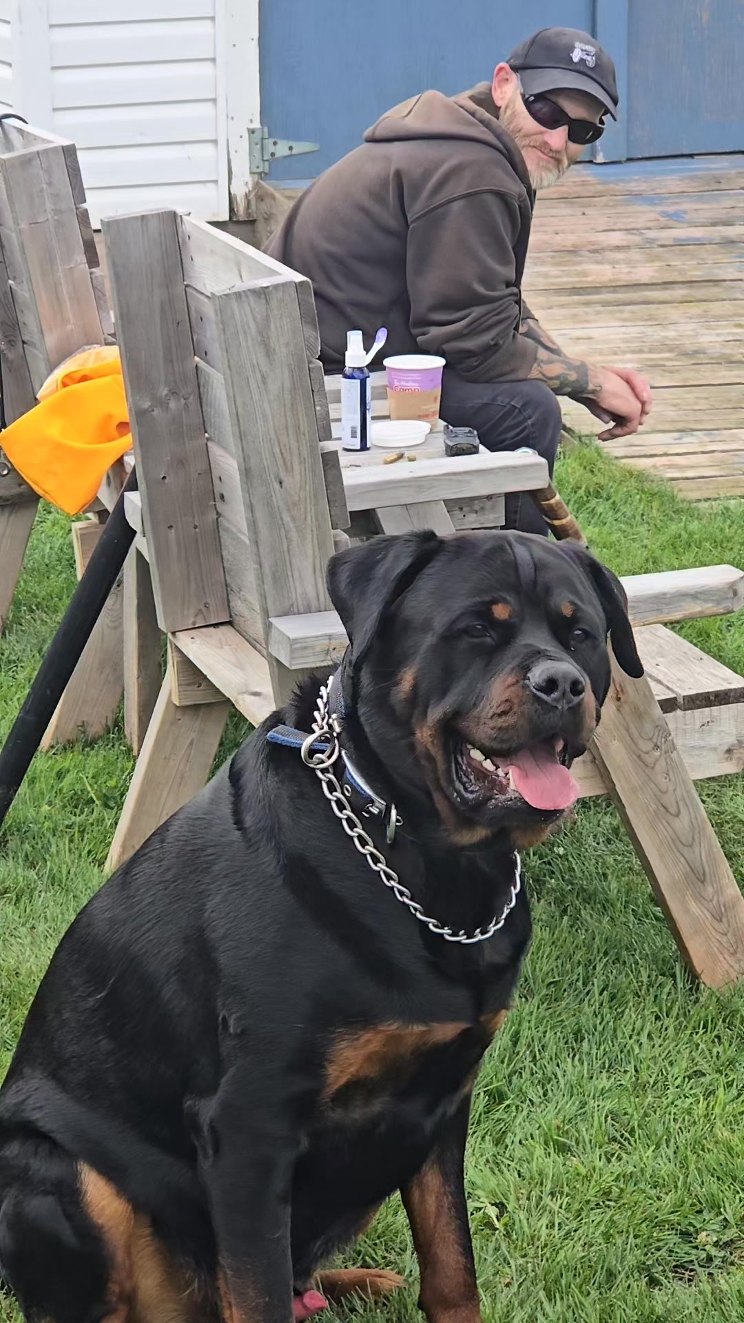 C&K ROTTIES P.E.I 🇨🇦 ☝🏿 ONLY THE BEST 🫵😎 Mr .Mac owner Barry Yeo🇨🇦☝🏿 ...