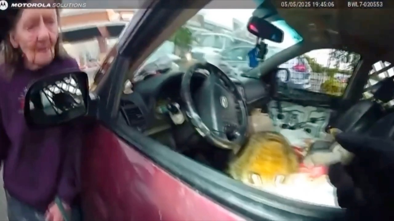 A raccoon tries to smoke a meth pipe during a vehicle search in ...