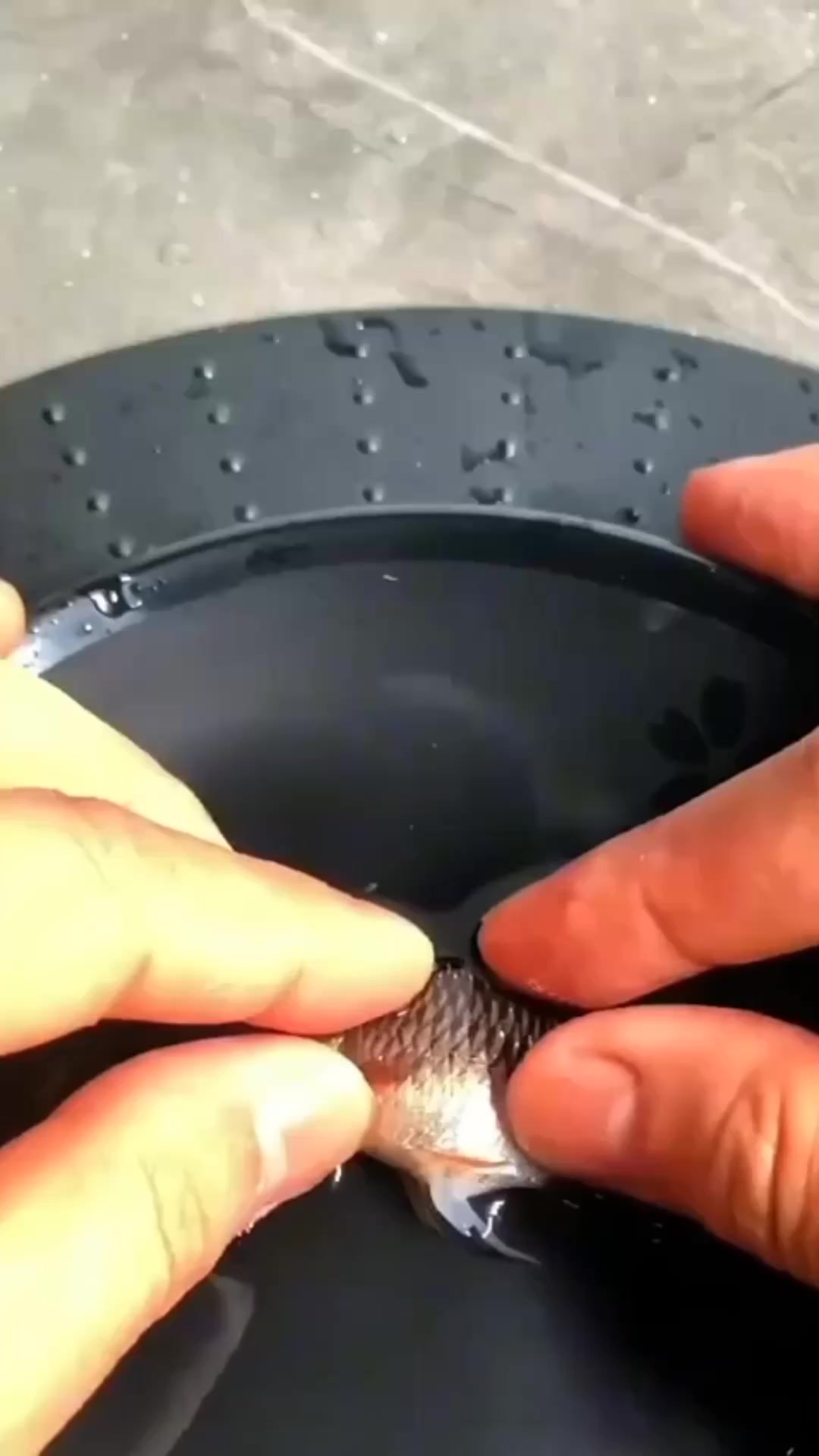 Squeezing fish tummy to extract eggs and milt #fb | Tito otit's | Facebook