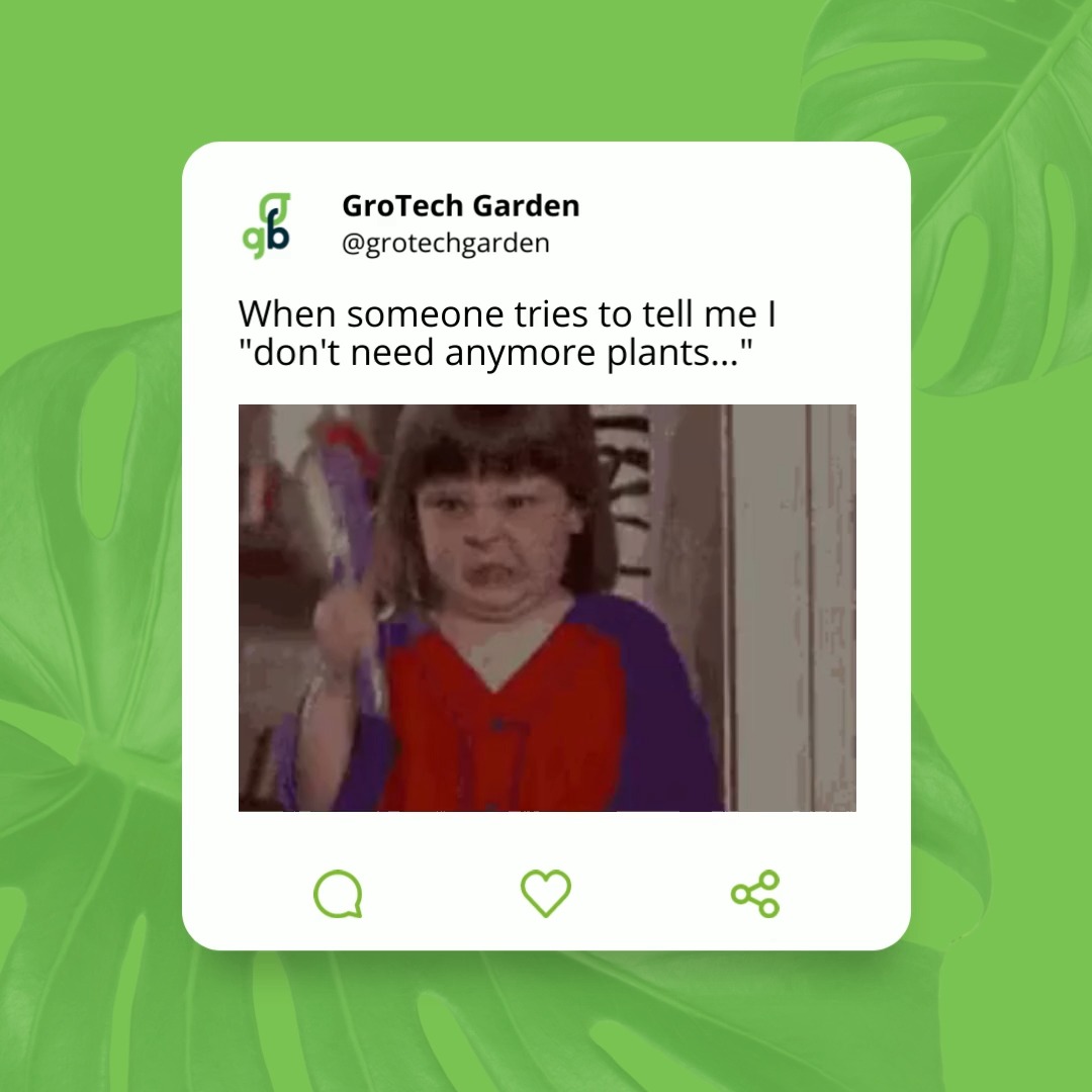 Grotech garden grotech youtube Search grotech-garden-products