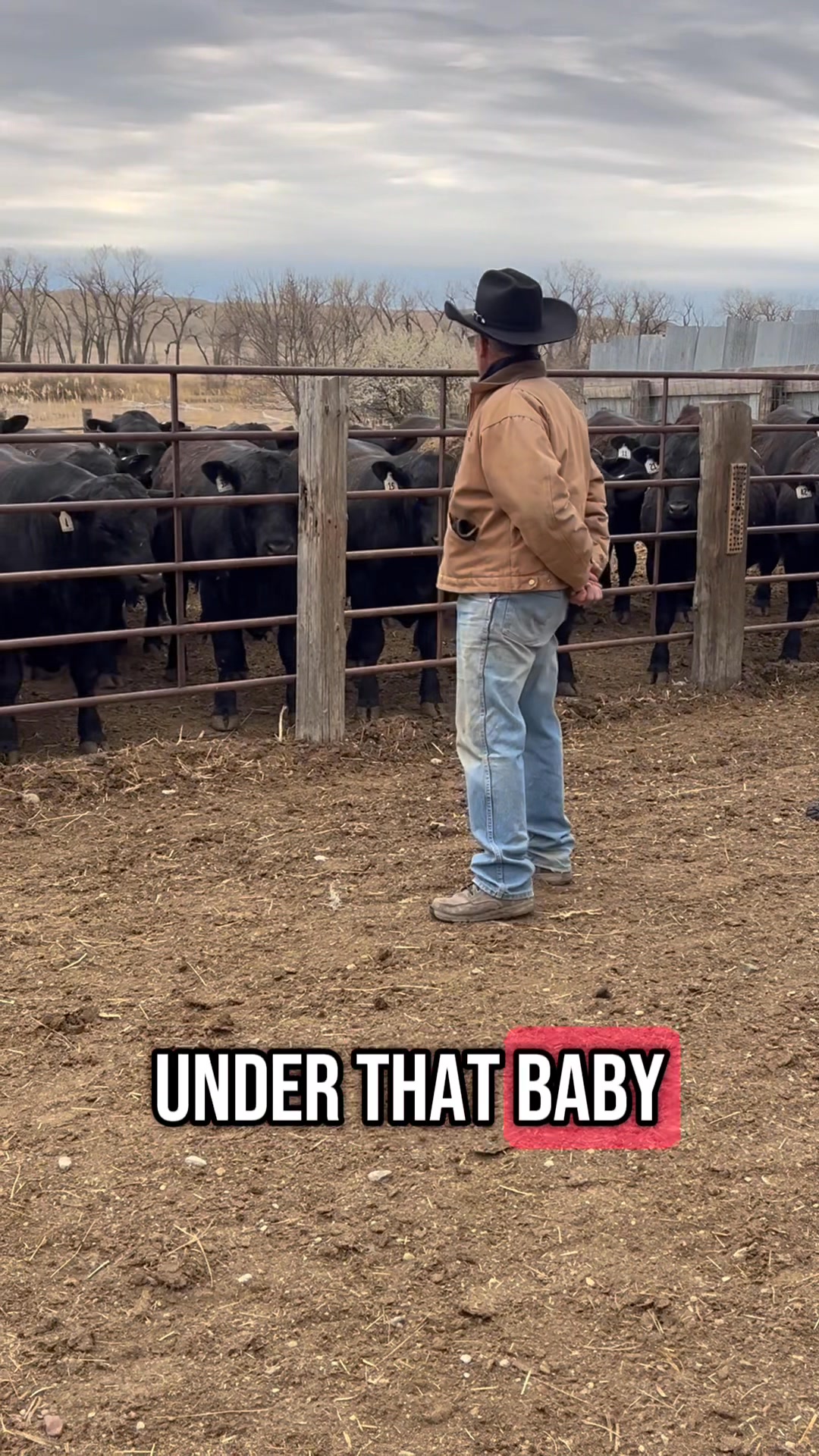Legend and Class of 2021 - Steve Mowry. Bad ass Wrangler Bull Fighter ...
