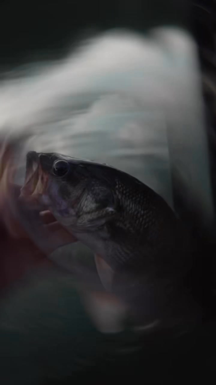 shakespeare ugly stik elite rod and reel combo Baitcast Fishing Poster Art Finish Line Checkerboard Jansport Style:Soft Plastic Whether navigating the choppy